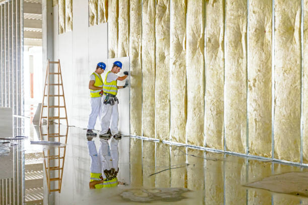Best Commercial Insulation in San Benito, TX